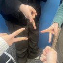 슌노사카나야 이미지