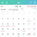 24년 9월 지출 _ 20대 여자 지출 _ 위플 가계부 무료 버전 사용 후기