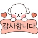 소렌토펜션엔민박 이미지