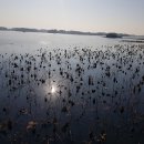 만경초등학교 이미지