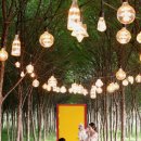 (주)아미랜드 이미지