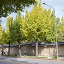 지에스25 청와공간점 이미지