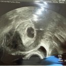 프레메디산부인과의원 이미지