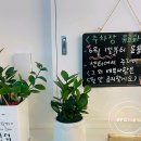 바디케어짐 이미지