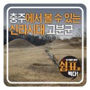 루암리고분군 화장실 | 충주지역의 유일한 신라 고분군, 누암리고분군