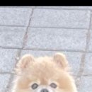 카페오롯이 이미지