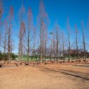 걸포중앙공원 관리동 화장실 이미지