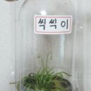 고백하는날꽃집