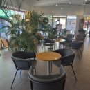 엔젤리너스(조치원점) 이미지