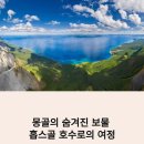 소통가축인공수정소 | 몽골 홉스골 호수 캠핑 – 별빛 감성 여행과 유르트 체험 인기 이유