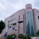 맛있다대 | 성심당 무화과시루 기간 가격 평일 방문 후기 | 롯데백화점 대전점