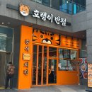 가산동 맛집 생방송투데이 호랭이반점 중화치킨, 떡볶이