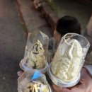 세븐일레븐 울산등억알프스점 이미지