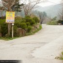 양평 프라자 관광농원 이미지