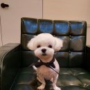 깡지하우스 이미지