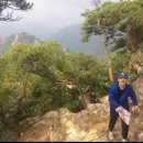 프로팀스타 복싱 이미지