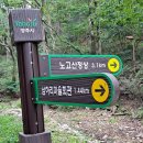 삼하리 이미지