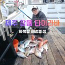 해성피싱 네이버블로그