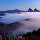 산처럼물처럼 이미지