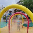 바드래공원 | 울산 동구 바드래공원 물놀이장