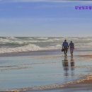 강남잉꼬결혼 이미지