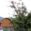 만발목장 이미지