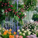 플라워 콘서트 이미지