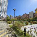 신평초교옆 공원 이미지