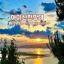사하구 다대낙조1길, 2길 | 부산 노을 명소 아미산 전망대 다대포 꿈의 낙조분수대