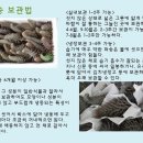 약초와 생활한방 이미지