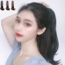 1262 이미지