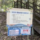 임고면-황강리-8 | [영천 운주산 승마 자연 휴양림 아기와 1박 2일] 숲속의집 17호, 야외 물놀이장 즐기기