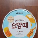 허니아이스크림