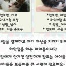 아리치킨 - 파주시 숲속노을로 299 | 아리치킨