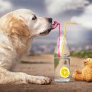 김포동물병원 이미지