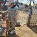 소댕이 | 천안 대형카페 아이랑 갈만한 곳 동물 체험 카페 소댕이