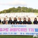 팀아울 이미지