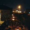 돌담에 속삭이는 제주 민박