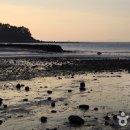 홍성~보령~서천 해수욕장과 갯벌체험 이미지