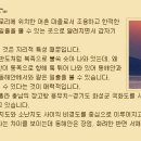 왜목마을 좌대낚시터 이미지