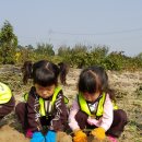 송죽농장 이미지