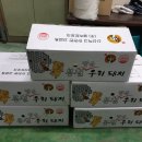 하루의손길