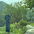 무릉도원면-42 이미지