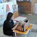 프리멍 샵 애견미용 네이버블로그