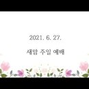 나이테