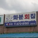 화분횟집