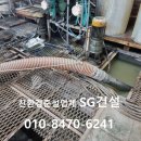 SG인력 이미지