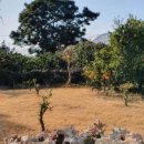 그린티 민박 이미지