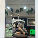 알레이(Rray)