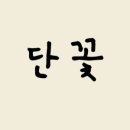 다나꽃집